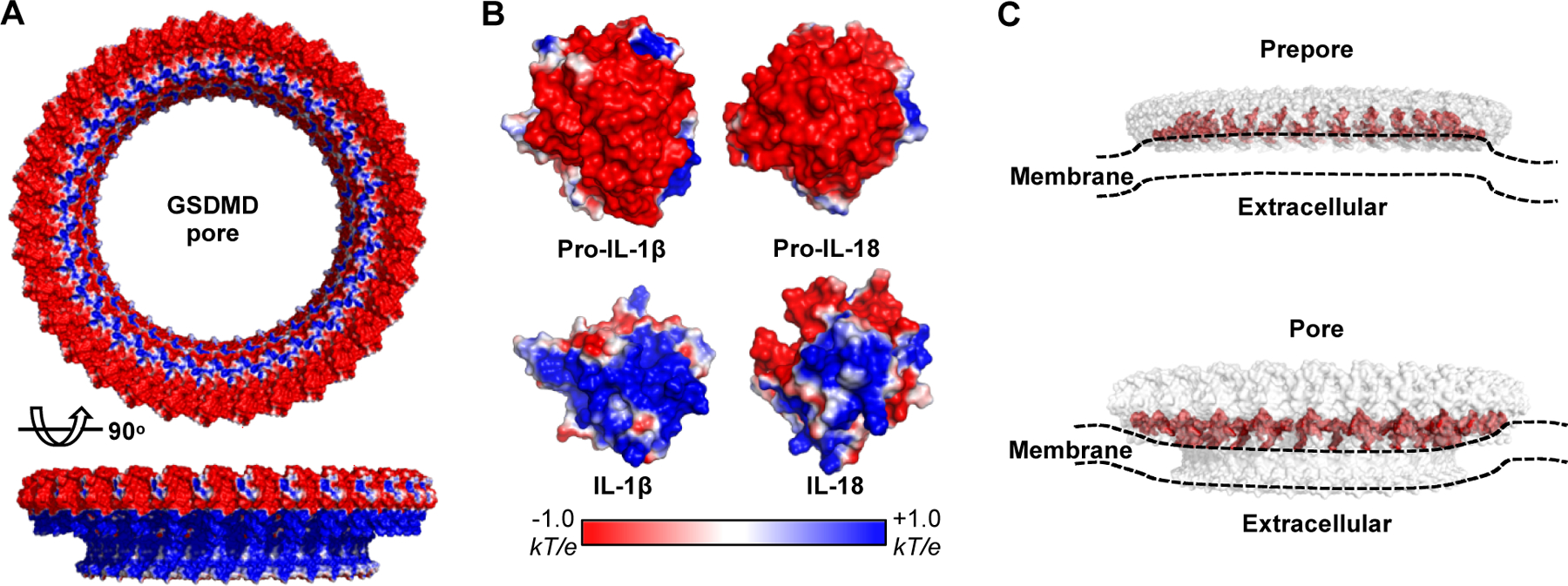 Fig 4.