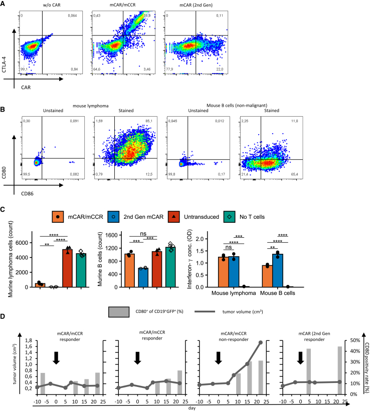 Figure 6