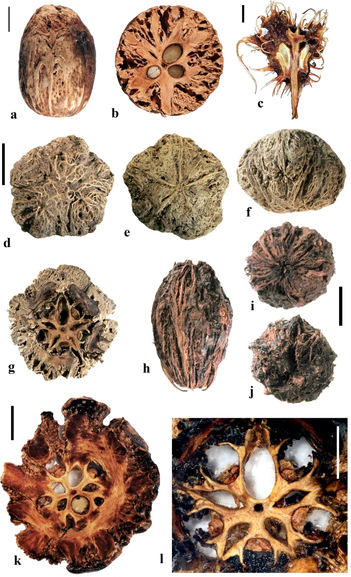 Fig. 26
