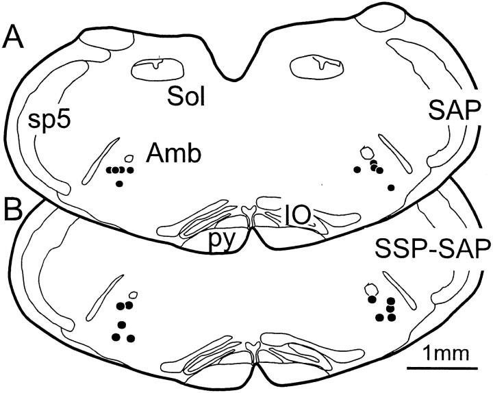 Fig. 10.