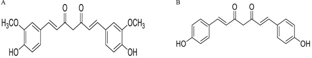 Fig. 1