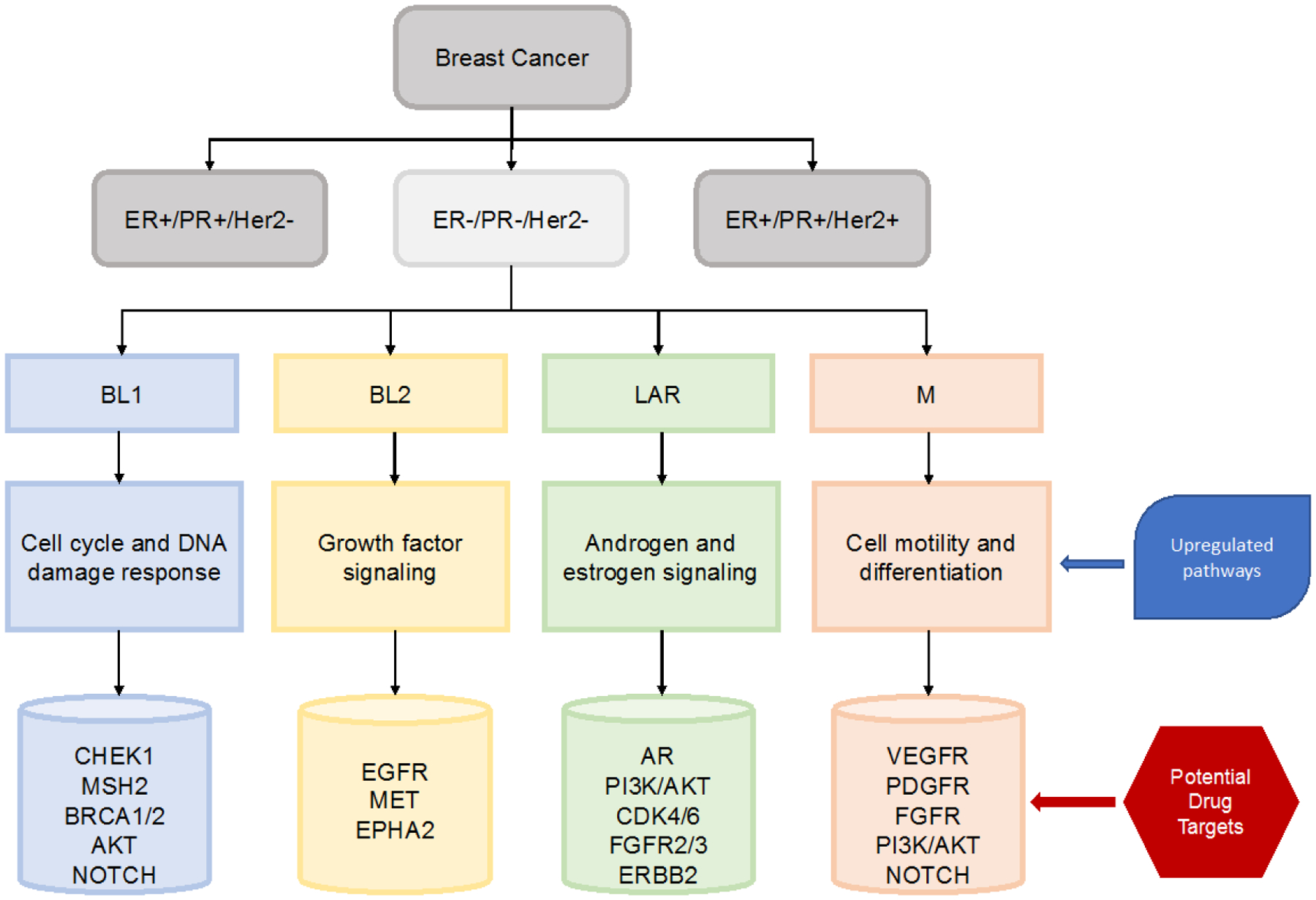 Figure 1: