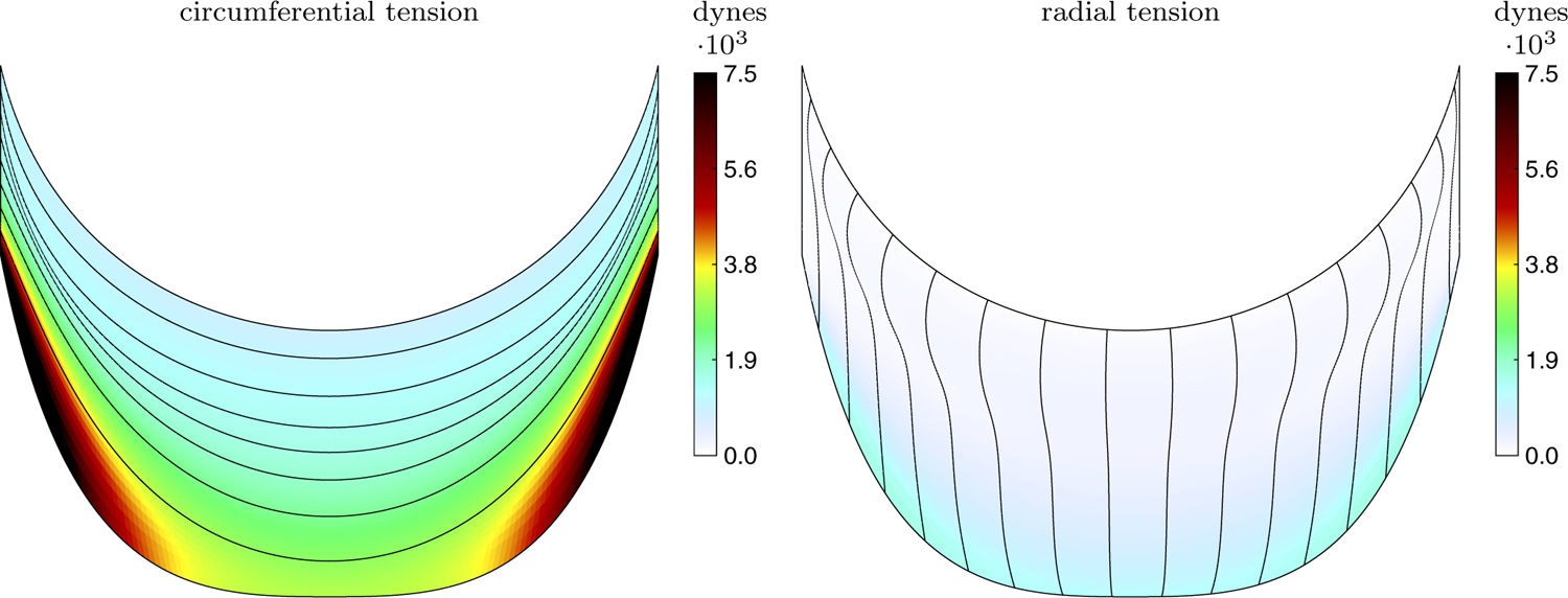 Fig. 6