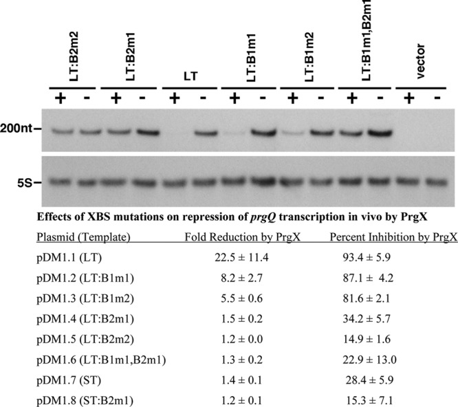 Fig 5