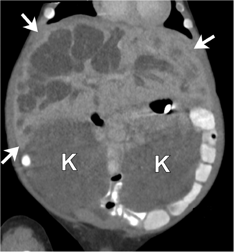 Fig. 4.