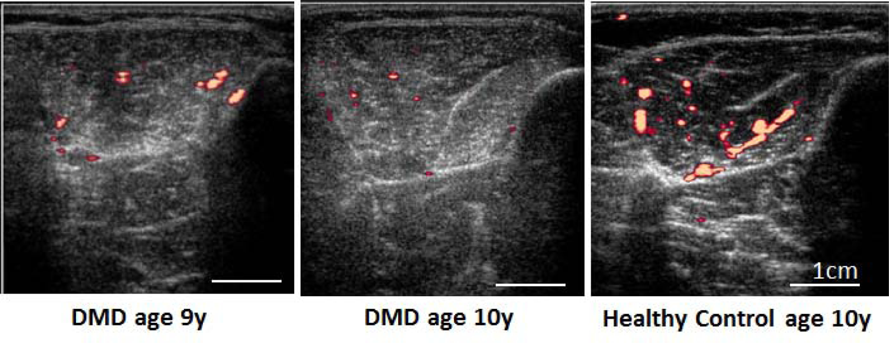 Figure 2: