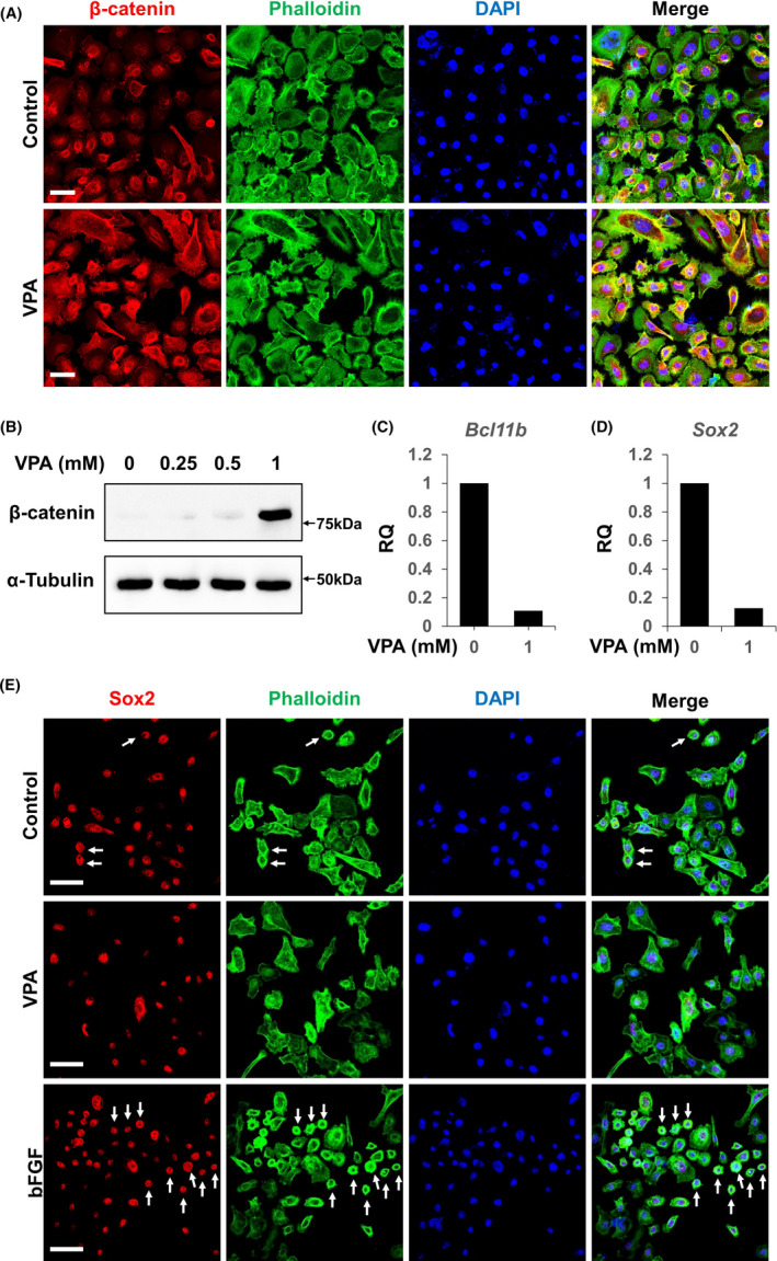 FIGURE 3