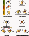 F<sc>ig</sc>. 5.