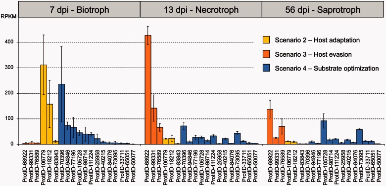 Fig. 6.