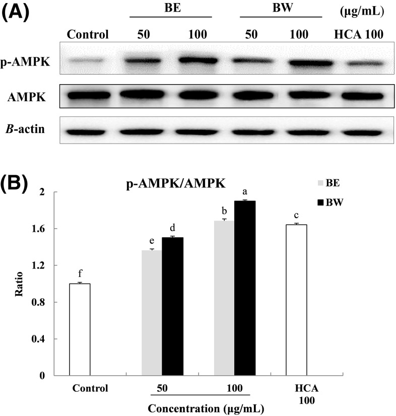 Fig. 6