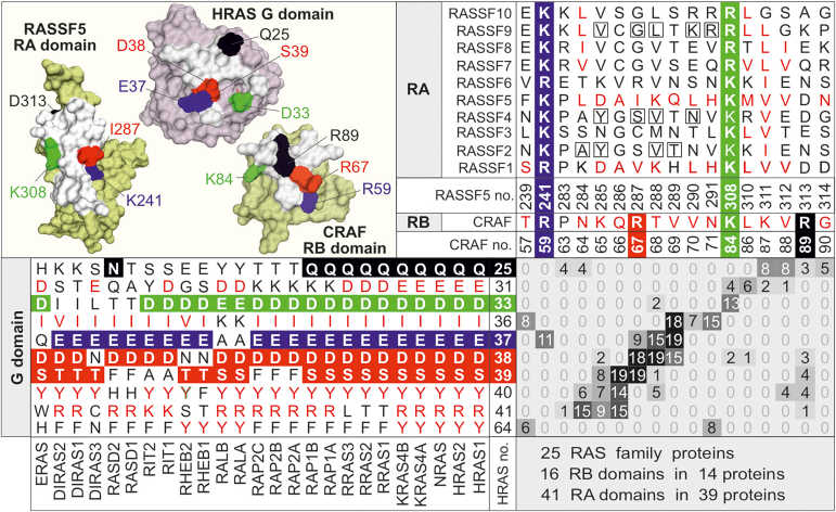 Figure 3