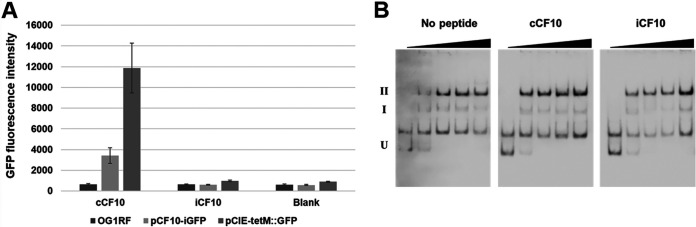 FIG 2