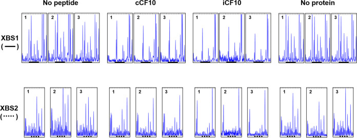 FIG 3