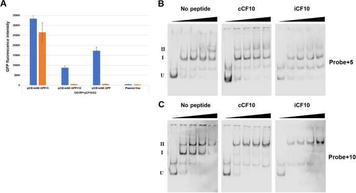 FIG 4