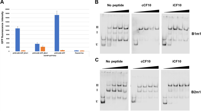 FIG 6