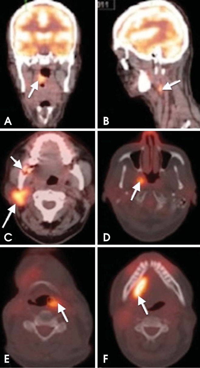 Fig. 8