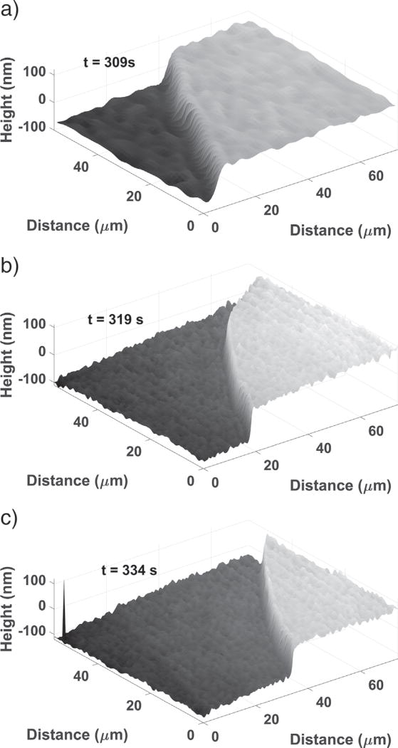 Fig. 14