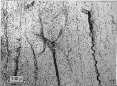 Fig. 11