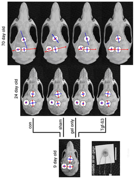 FIG. 6