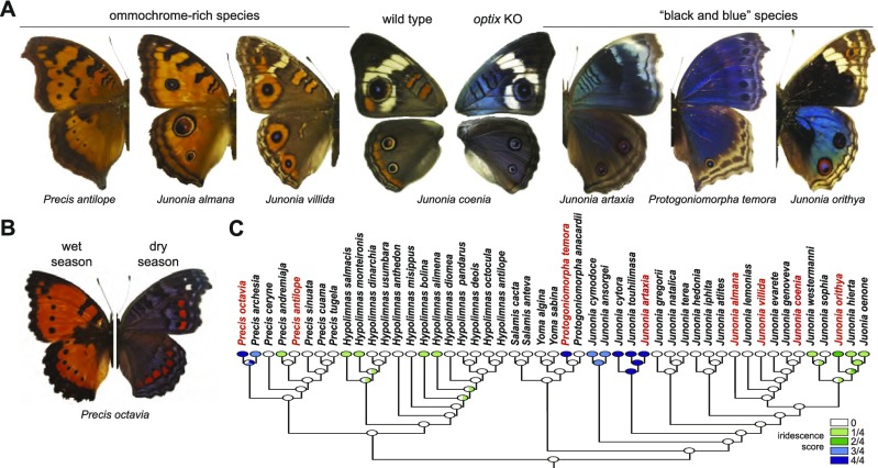 Fig. 4.