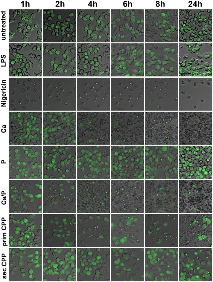 Figure 7