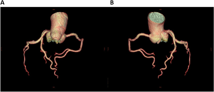 Fig. 5