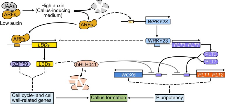 Figure 7.