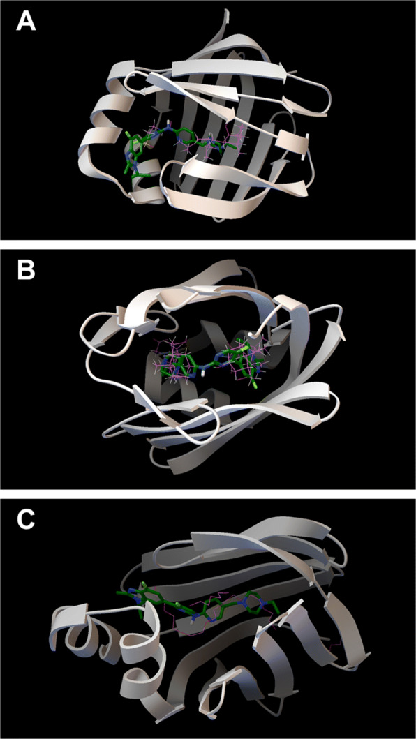 Fig. 6