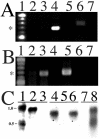 FIG. 4.