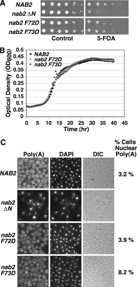 FIGURE 5.