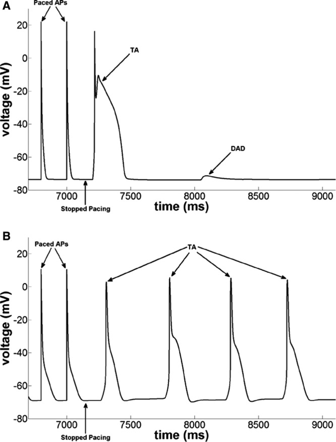 Figure 6.