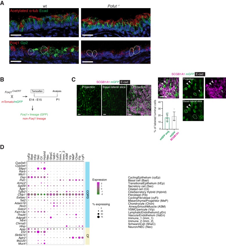 Figure 4—figure supplement 1.