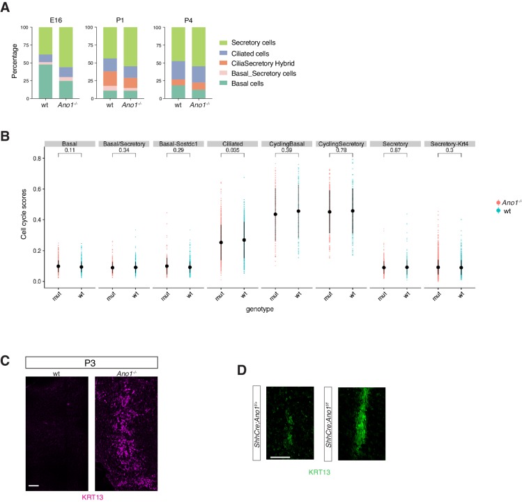 Figure 6—figure supplement 1.