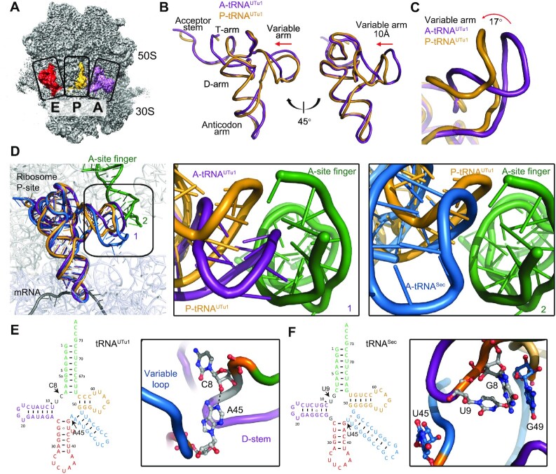 Figure 4.