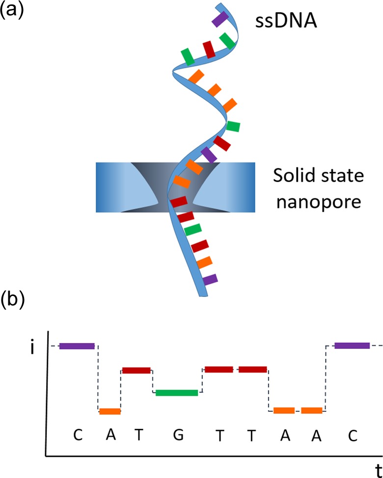 Figure 7.