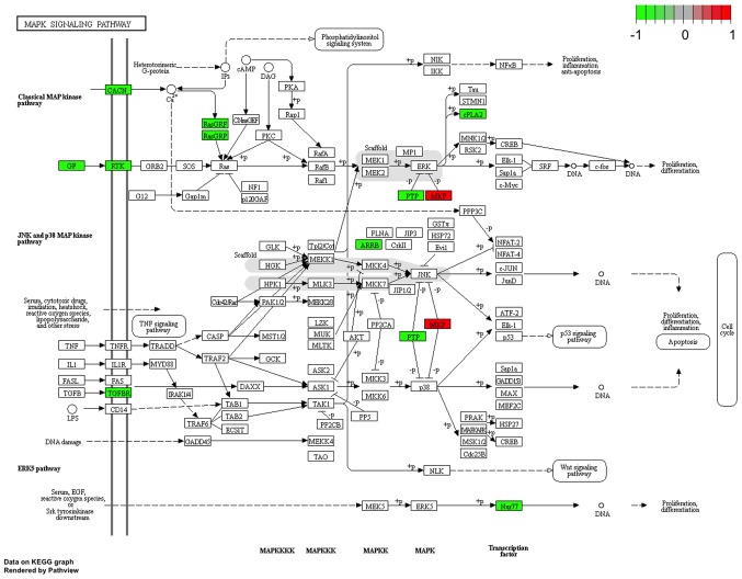 Figure 7.