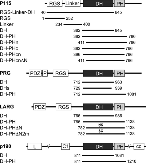 FIGURE 1.