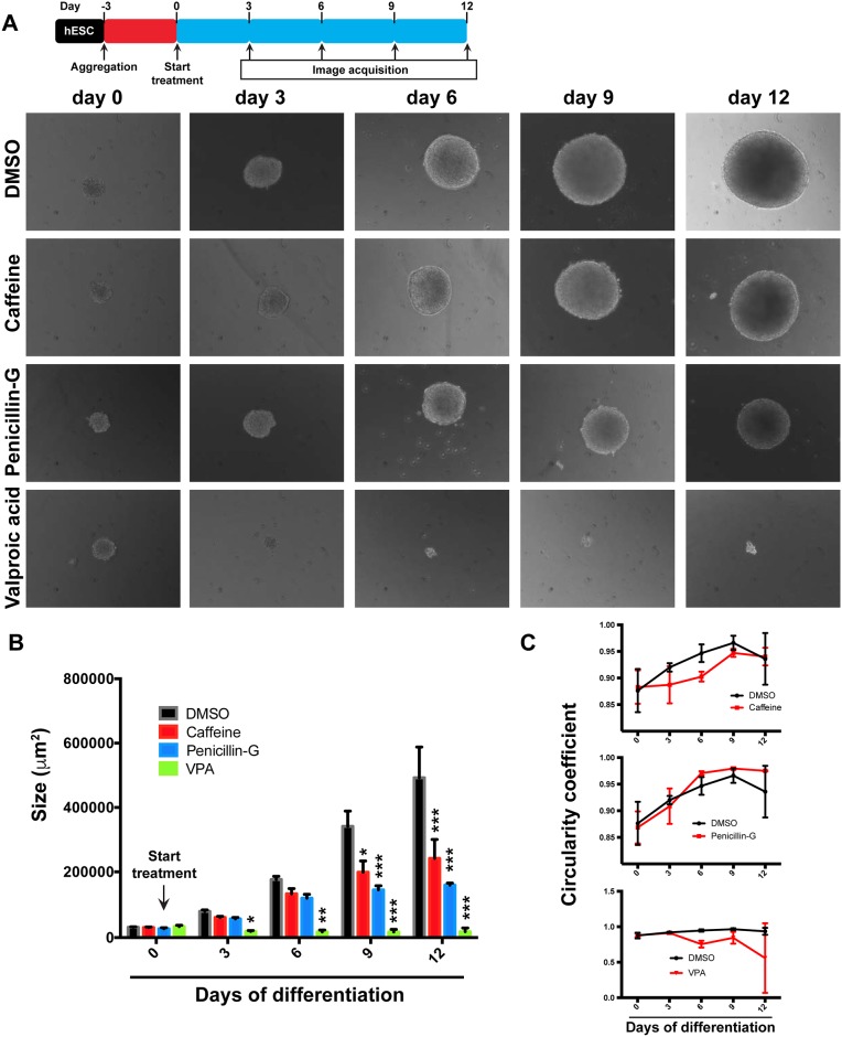 Fig 4