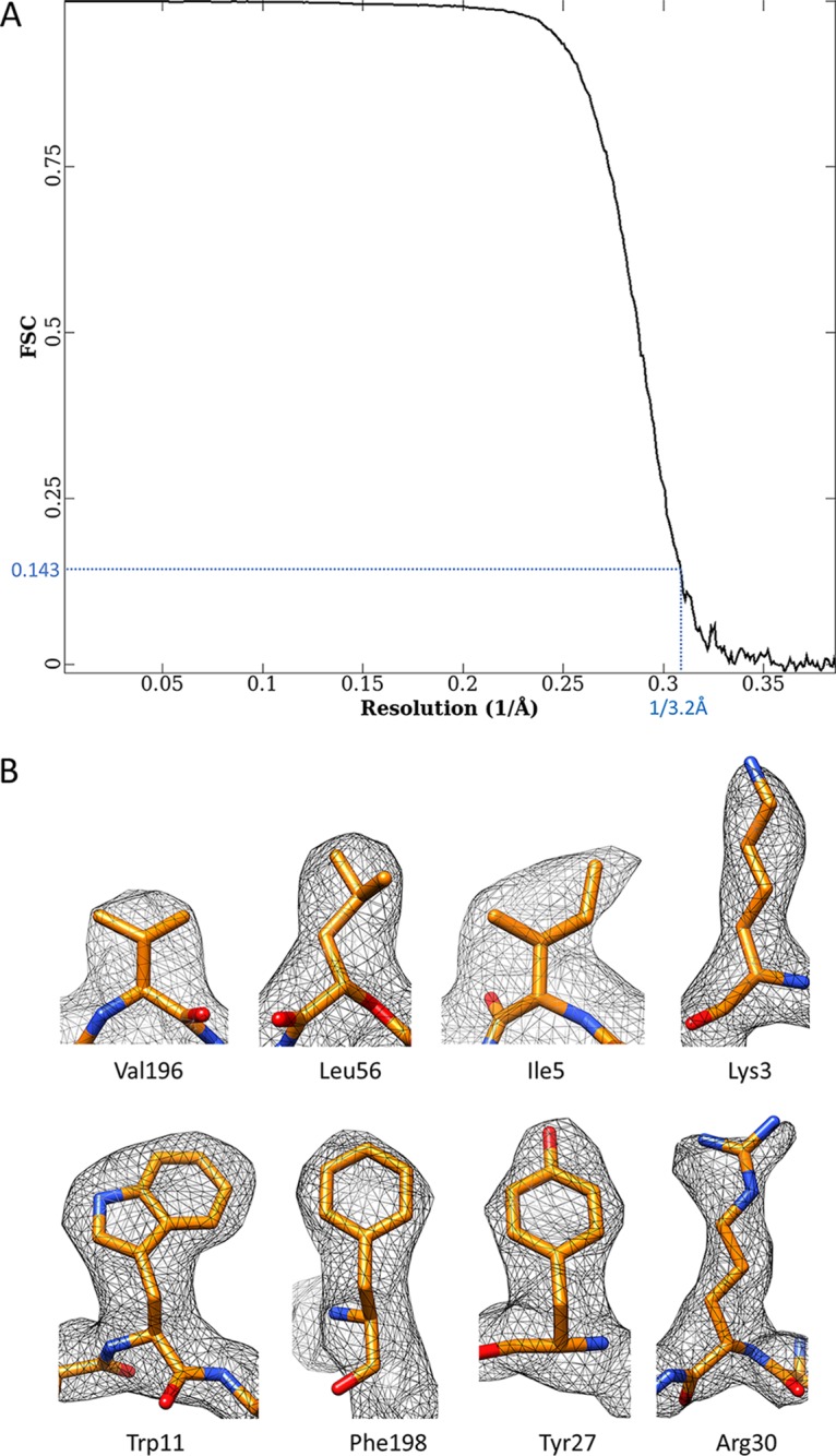 FIG 2