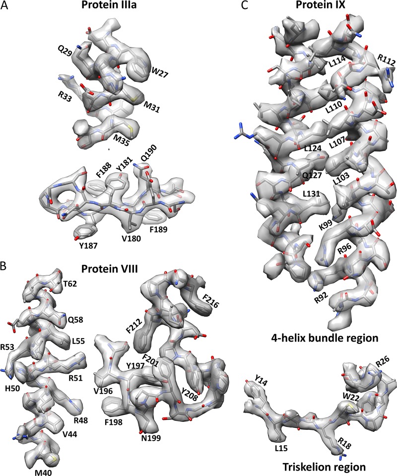 FIG 3