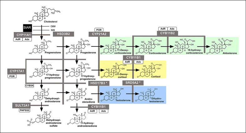 Fig. 1