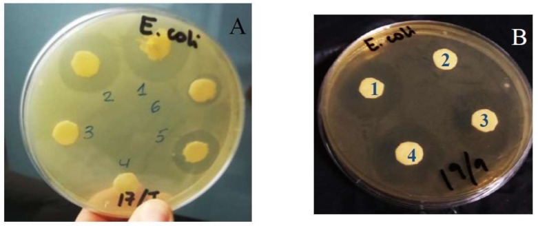 Figure 7