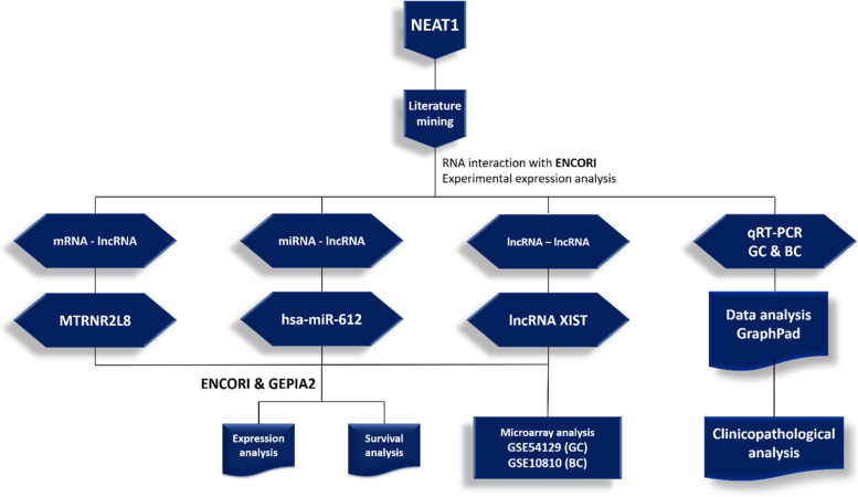 Fig. 19