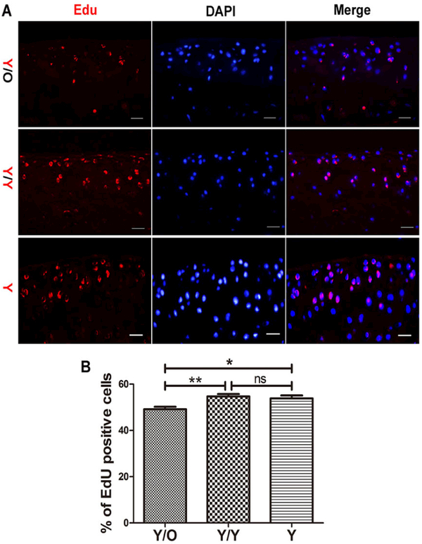 Figure 5: