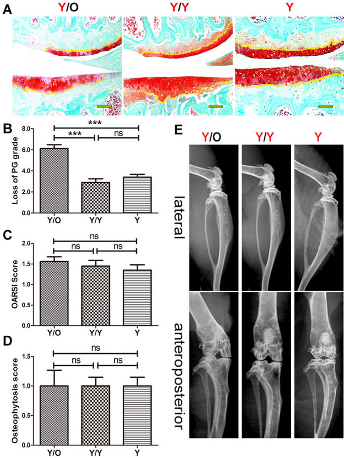 Figure 2: