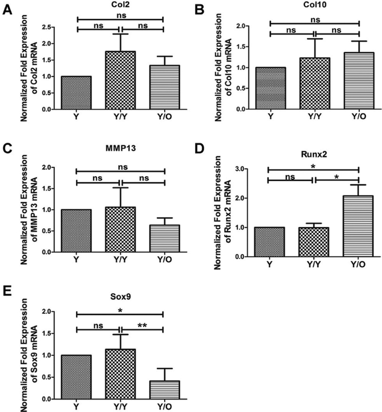 Figure 4: