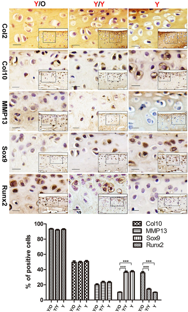 Figure 3: