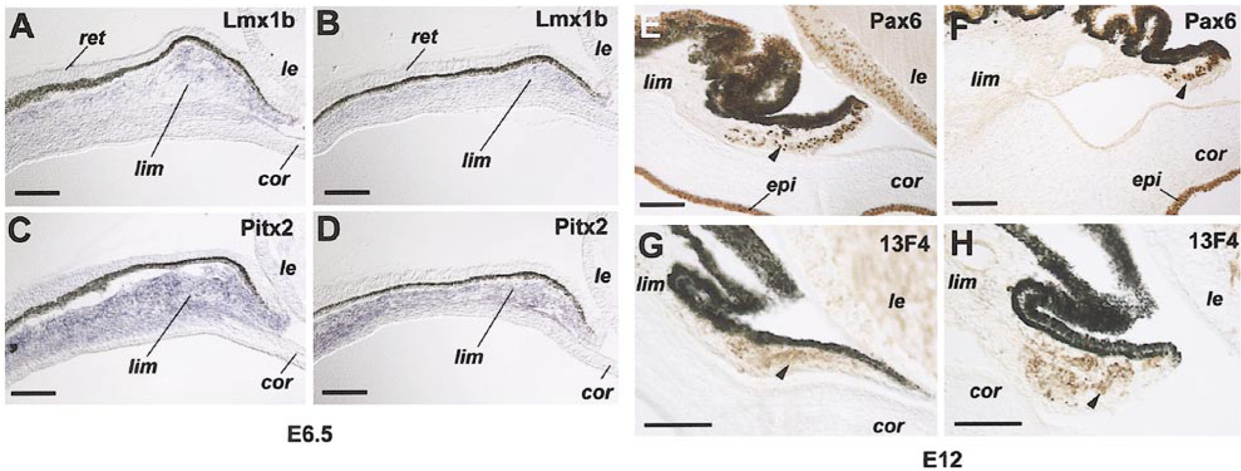 FIG. 7.