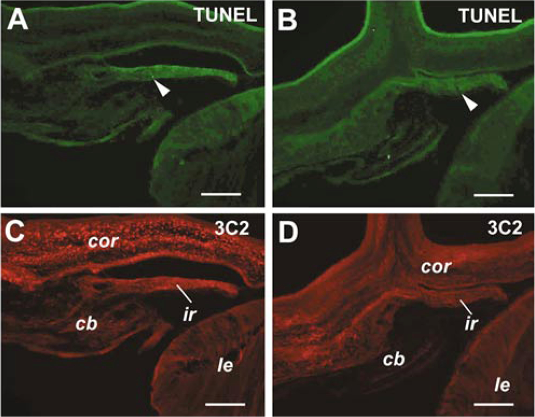 FIG. 9.