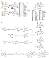 Scheme 6